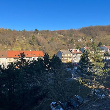 Stella Apartment Bratislava Dış mekan fotoğraf
